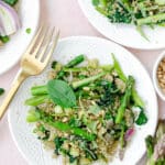 Salad with quinoa, asparagus spears, baby spinach, zucchini, pine nuts, garlic and shallots on a white plate, with asparagus spears and garlic.