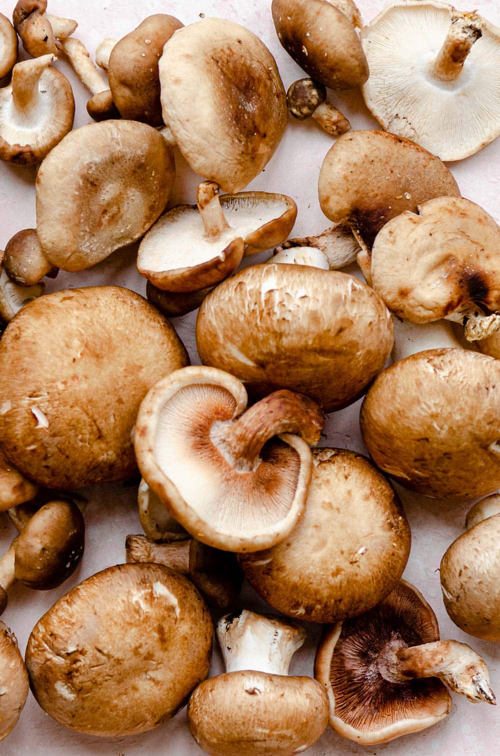 Mushrooms for truffle mushroom pasta 